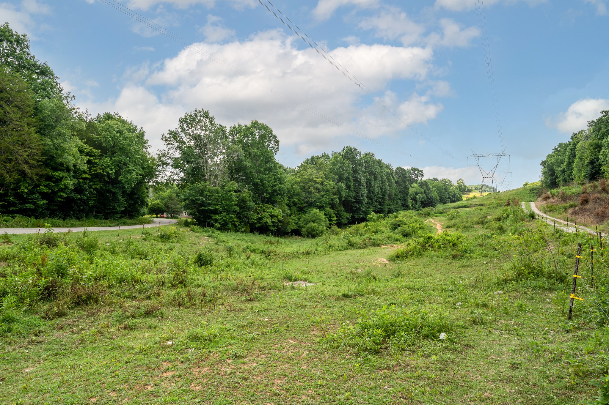 1968 Hill Station Road Columbia, TN 38401 - Photo 4 of 31 Gallery Image 4