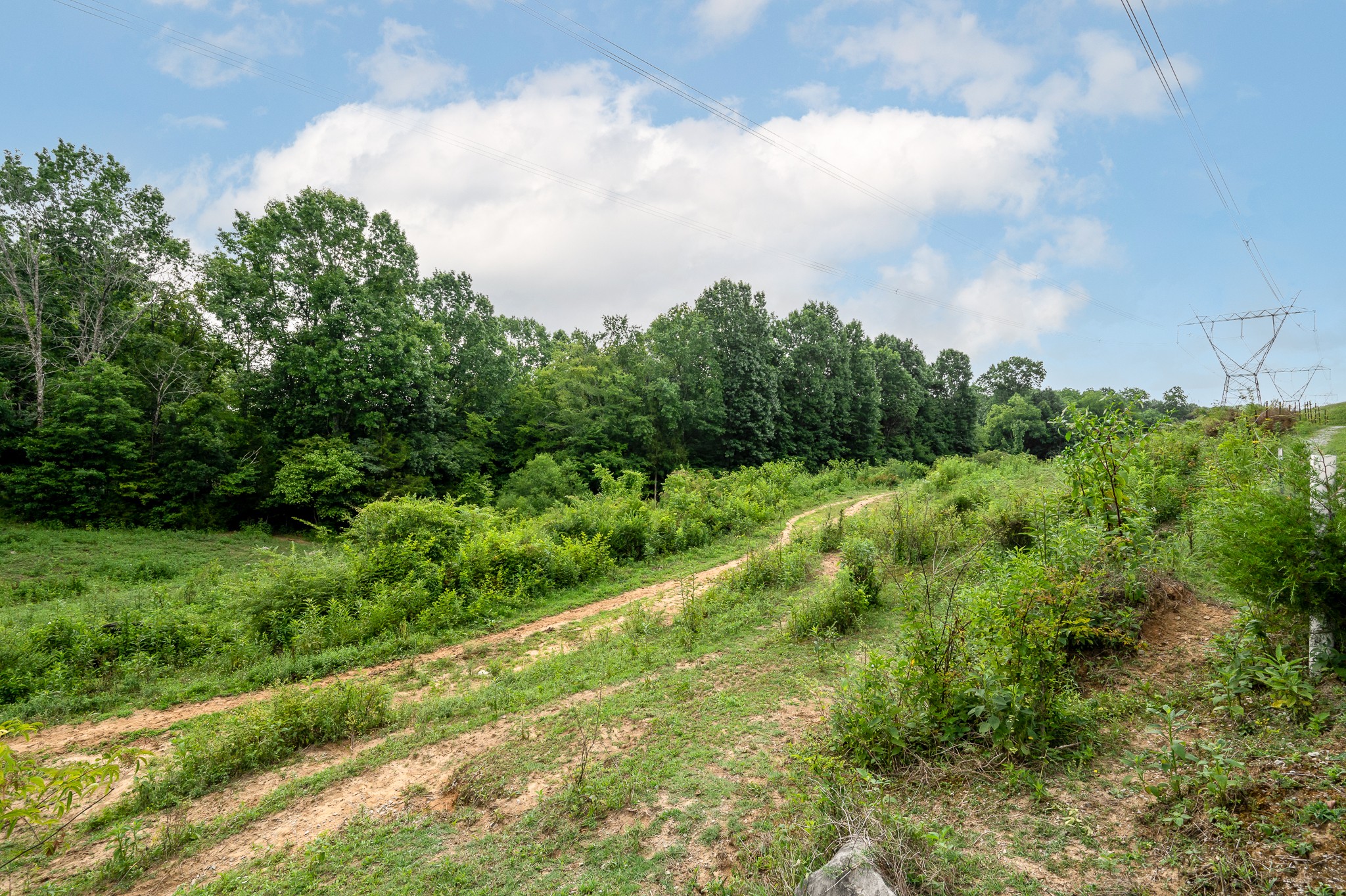 1968 Hill Station Road Columbia, TN 38401 - Photo 5 of 31 Gallery Image 5