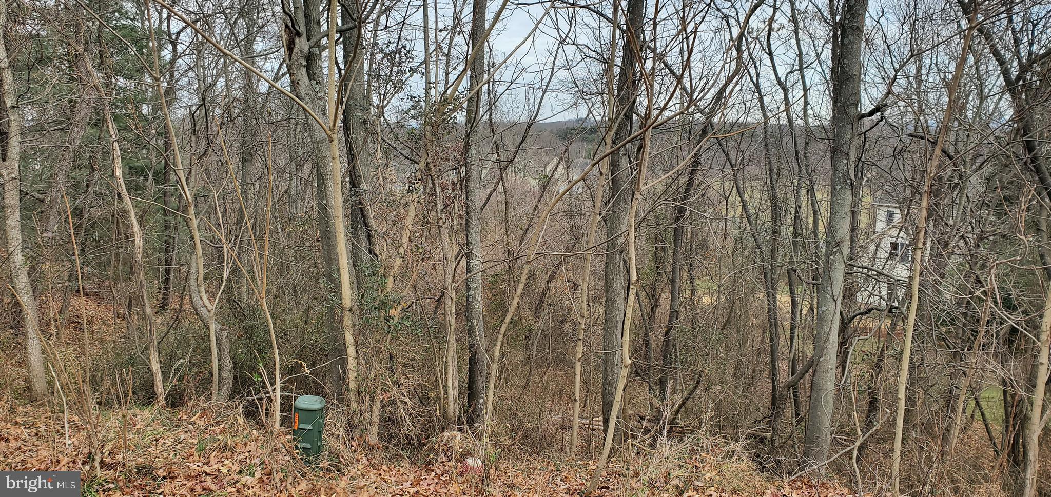 246 Fairway Circle Cross Junction, VA 22625 - Photo 2 of 3