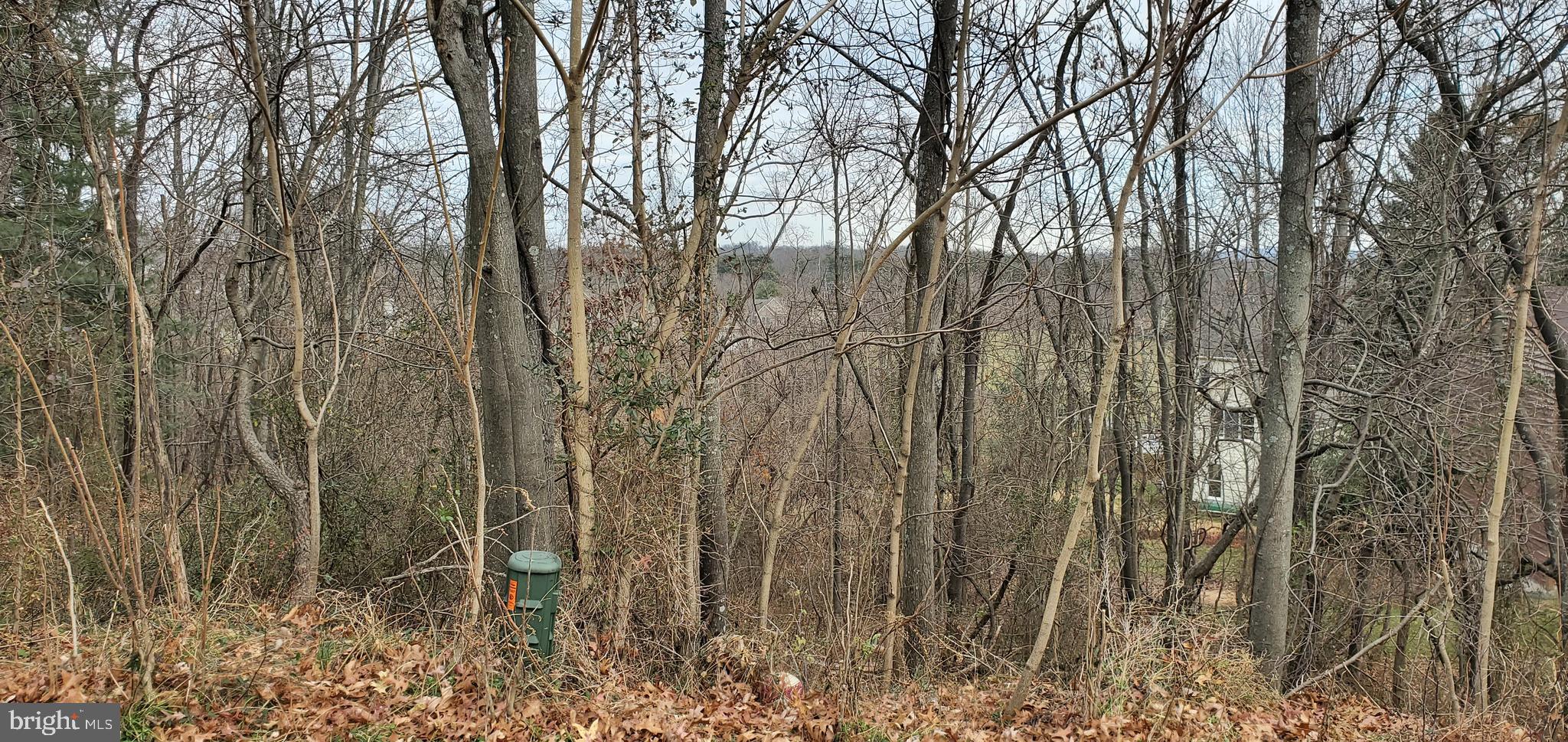 246 Fairway Circle Cross Junction, VA 22625 - Photo 3 of 3