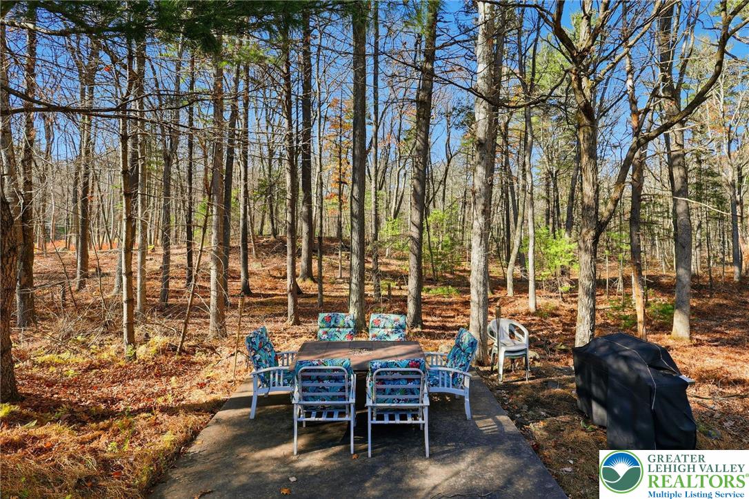 104 Scotch Pine Court Dingmans Ferry, PA 18328 - Photo 37 of 41 a view of a chairs and table in backyard
