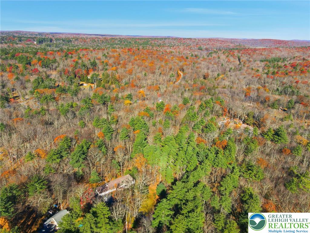 104 Scotch Pine Court Dingmans Ferry, PA 18328 - Photo 39 of 41 an aerial view of residential houses with outdoor space and trees