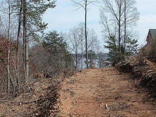 9030 Old Terry Ford Road Gainesville, GA 30506 - Photo 12 of 21 a view of a yard with trees