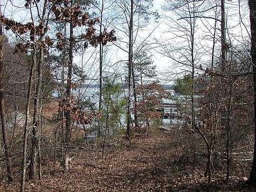9030 Old Terry Ford Road Gainesville, GA 30506 - Photo 13 of 21 a view of a yard with lots of bushes
