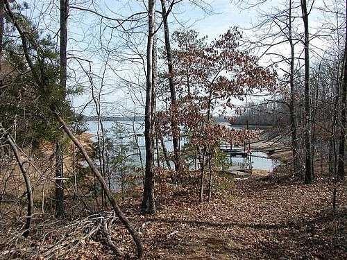 9030 Old Terry Ford Road Gainesville, GA 30506 - Photo 16 of 21 a backyard of a house with lots of green space