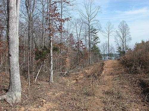 9030 Old Terry Ford Road Gainesville, GA 30506 - Photo 4 of 21 a backyard of a house with lots of green space