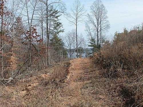9030 Old Terry Ford Road Gainesville, GA 30506 - Photo 5 of 21 a view of a yard with trees