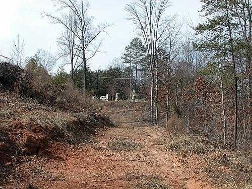 9030 Old Terry Ford Road Gainesville, GA 30506 - Photo 6 of 21 a view of a forest filled with trees