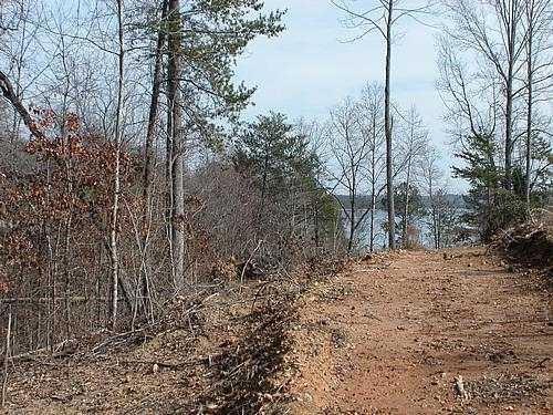 9030 Old Terry Ford Road Gainesville, GA 30506 - Photo 8 of 21 a view of a yard with trees