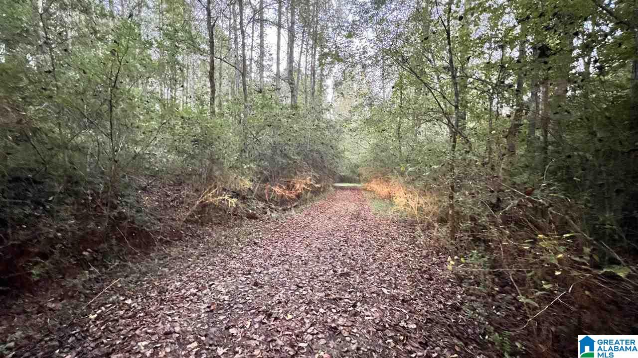 1935 Loop Road Moody, AL 35004 - Photo 2 of 8 Gallery Image 2
