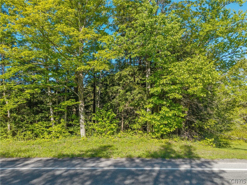 Nelson Road Cazenovia, NY 13035 - Photo 4 of 15