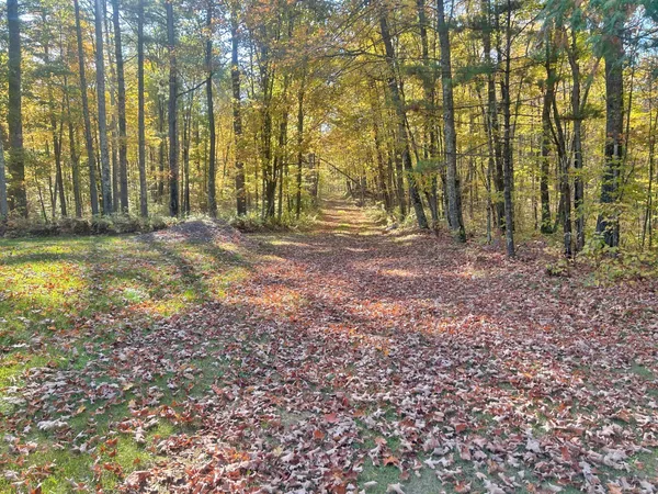 $599,000 | 11404 North Farnsworth Road, Hayward, WI 54843