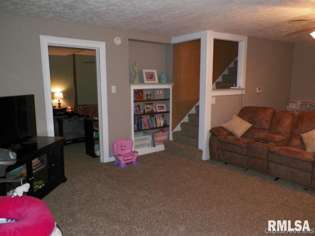 521 South Center Street Oneida, IL 61467 - Photo 11 of 23 Gallery Image 11