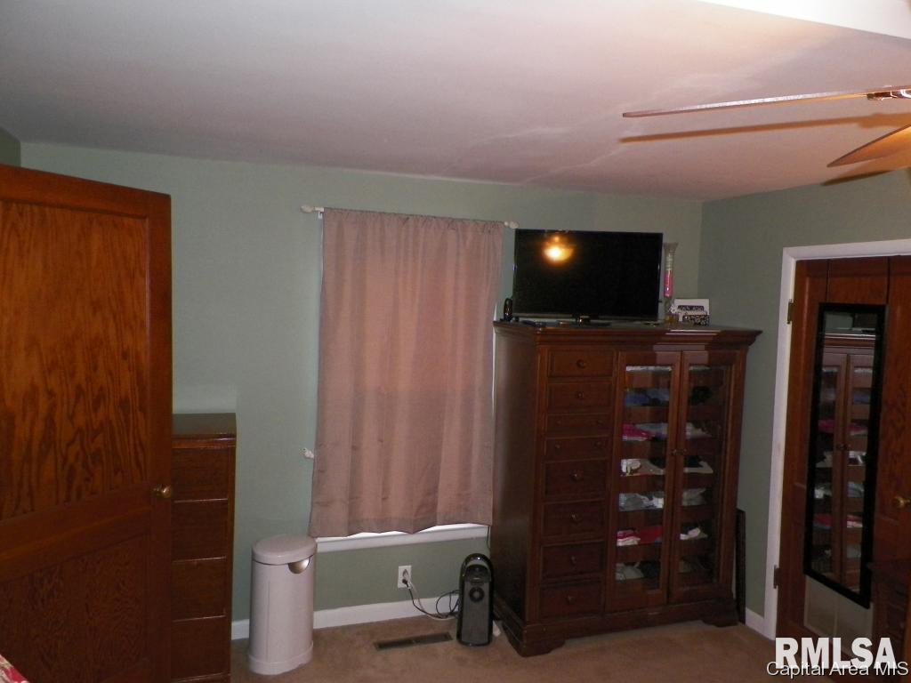 521 South Center Street Oneida, IL 61467 - Photo 17 of 23 Gallery Image 17