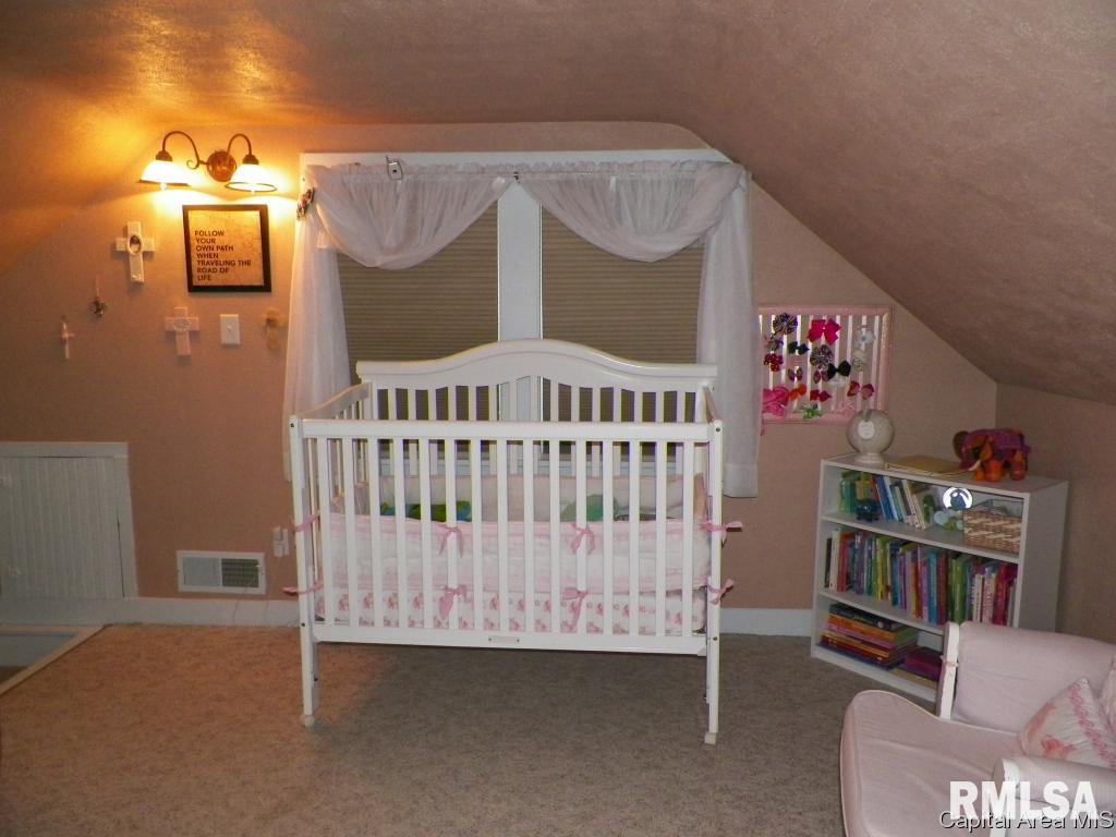 521 South Center Street Oneida, IL 61467 - Photo 20 of 23 Gallery Image 20