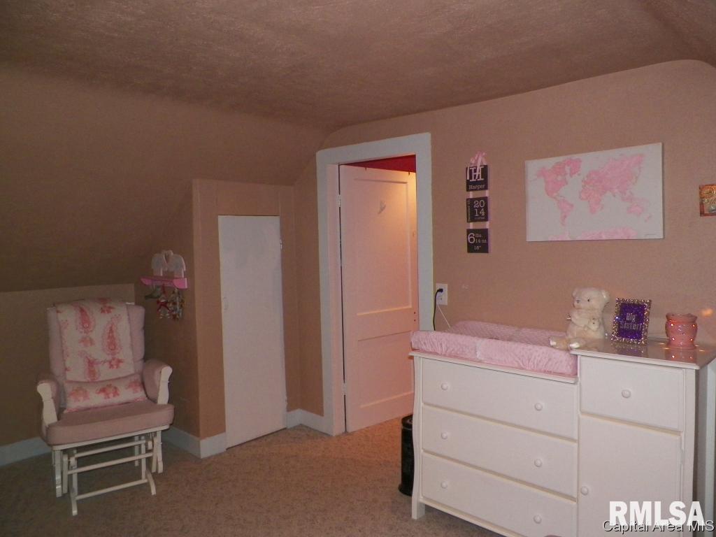 521 South Center Street Oneida, IL 61467 - Photo 21 of 23 Gallery Image 21