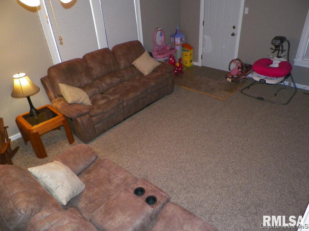 521 South Center Street Oneida, IL 61467 - Photo 8 of 23 Gallery Image 8