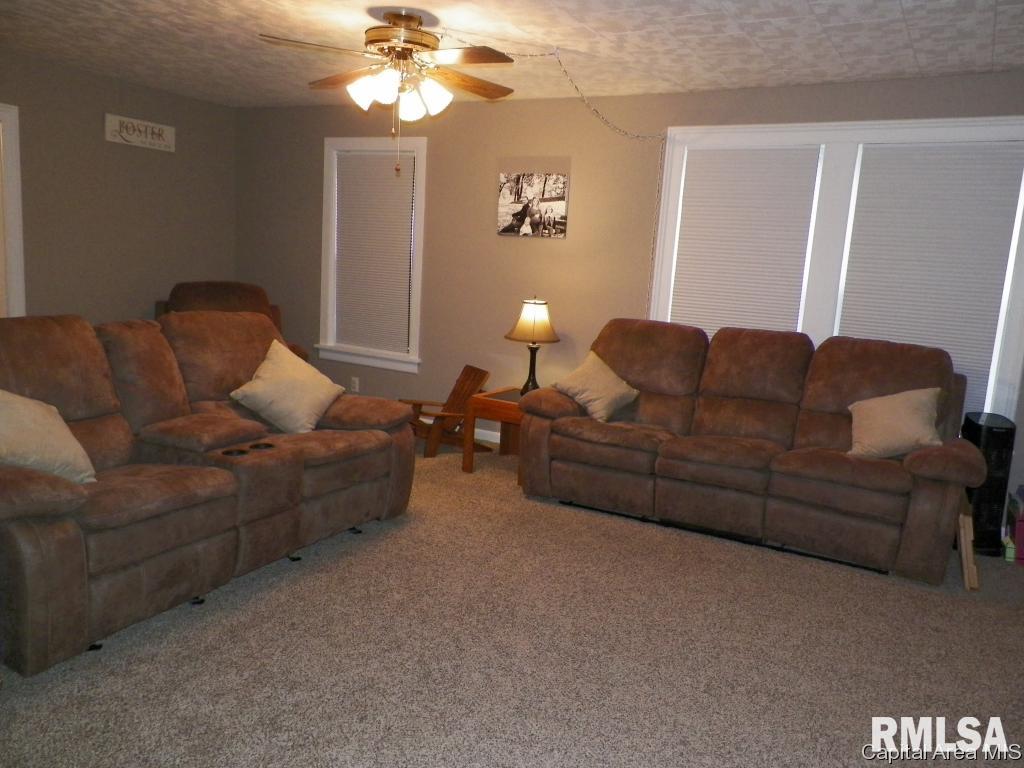 521 South Center Street Oneida, IL 61467 - Photo 9 of 23 Gallery Image 9