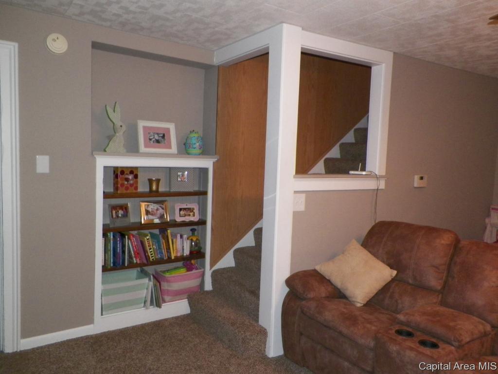 521 South Center Street Oneida, IL 61467 - Photo 10 of 23 Gallery Image 10