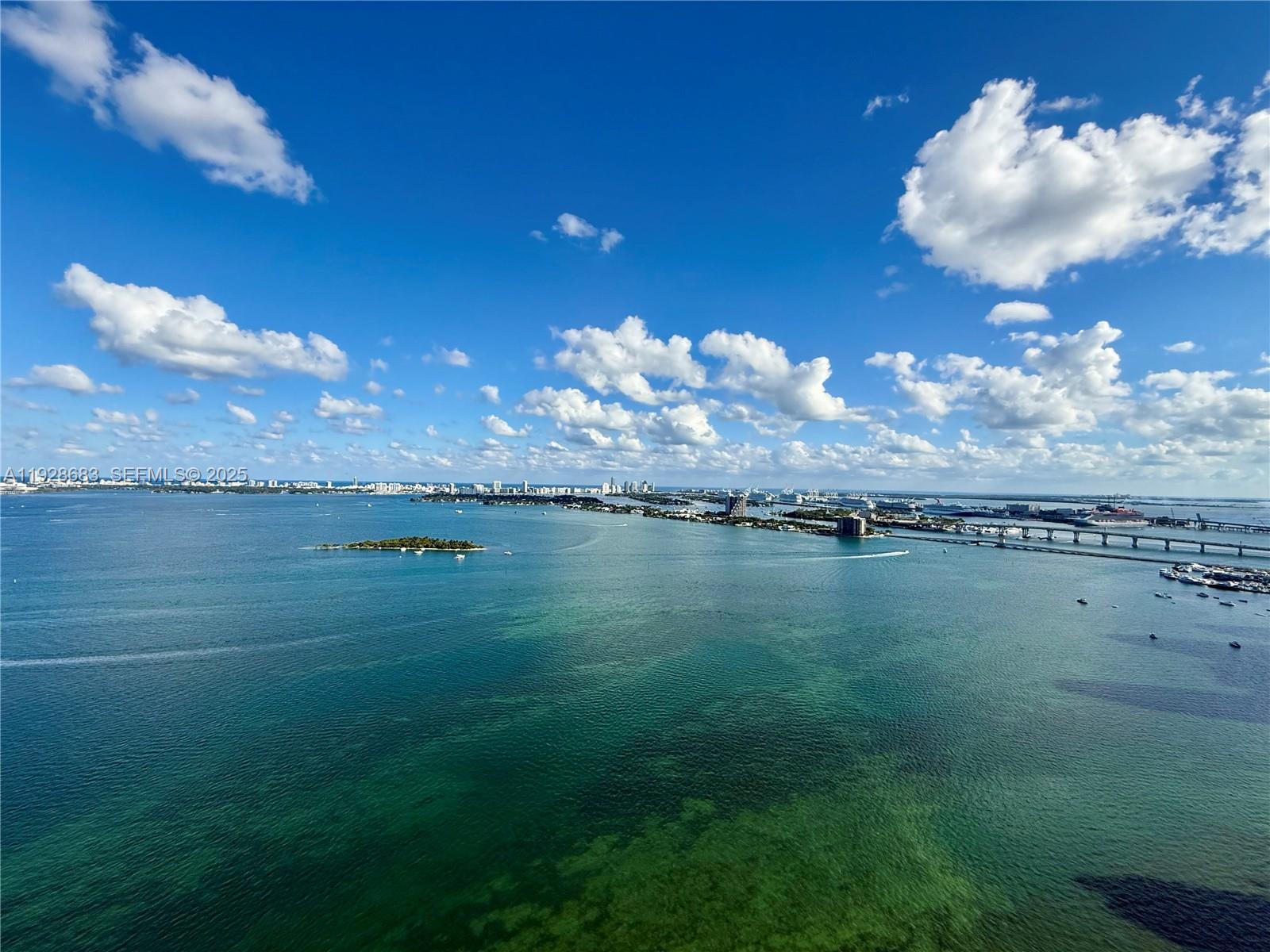 700 Northeast 24th Street, Unit 3303 Miami, FL 33137 - Photo 2 of 4 a view of a lake in middle of forest