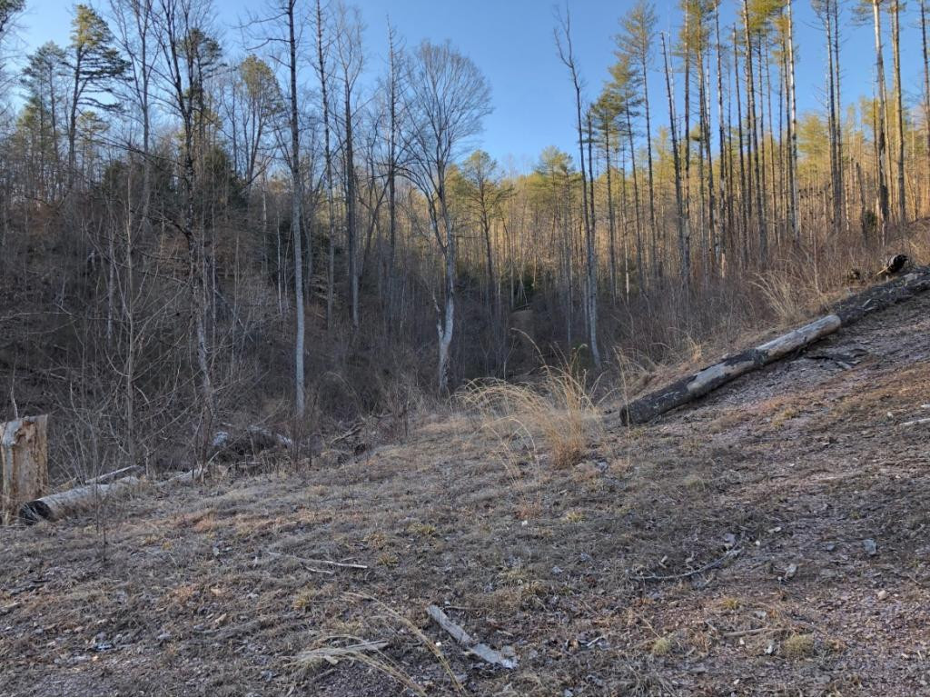 Tbd Lowell Stalcup Road Butler, TN 37640 - Photo 1 of 9 Photo 1