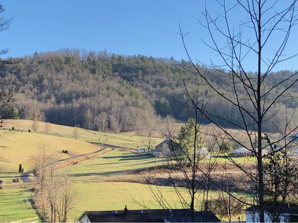Tbd Lowell Stalcup Road Butler, TN 37640 - Photo 8 of 9 Views from Property