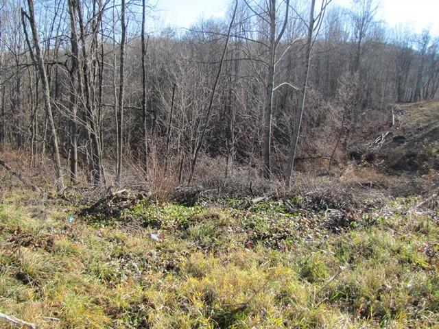 Black Oak Road Rock, WV 24747 - Photo 12 of 14 Gallery Image 12