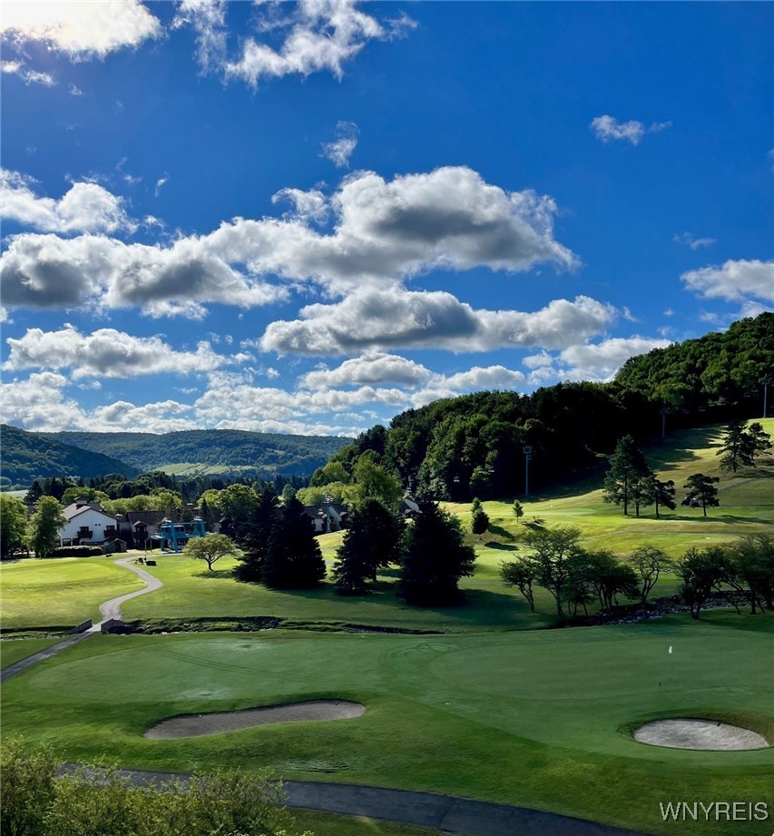 6447 Holiday Valley Road, Unit 501/5032 Ellicottville, NY 14731 - Photo 9 of 9