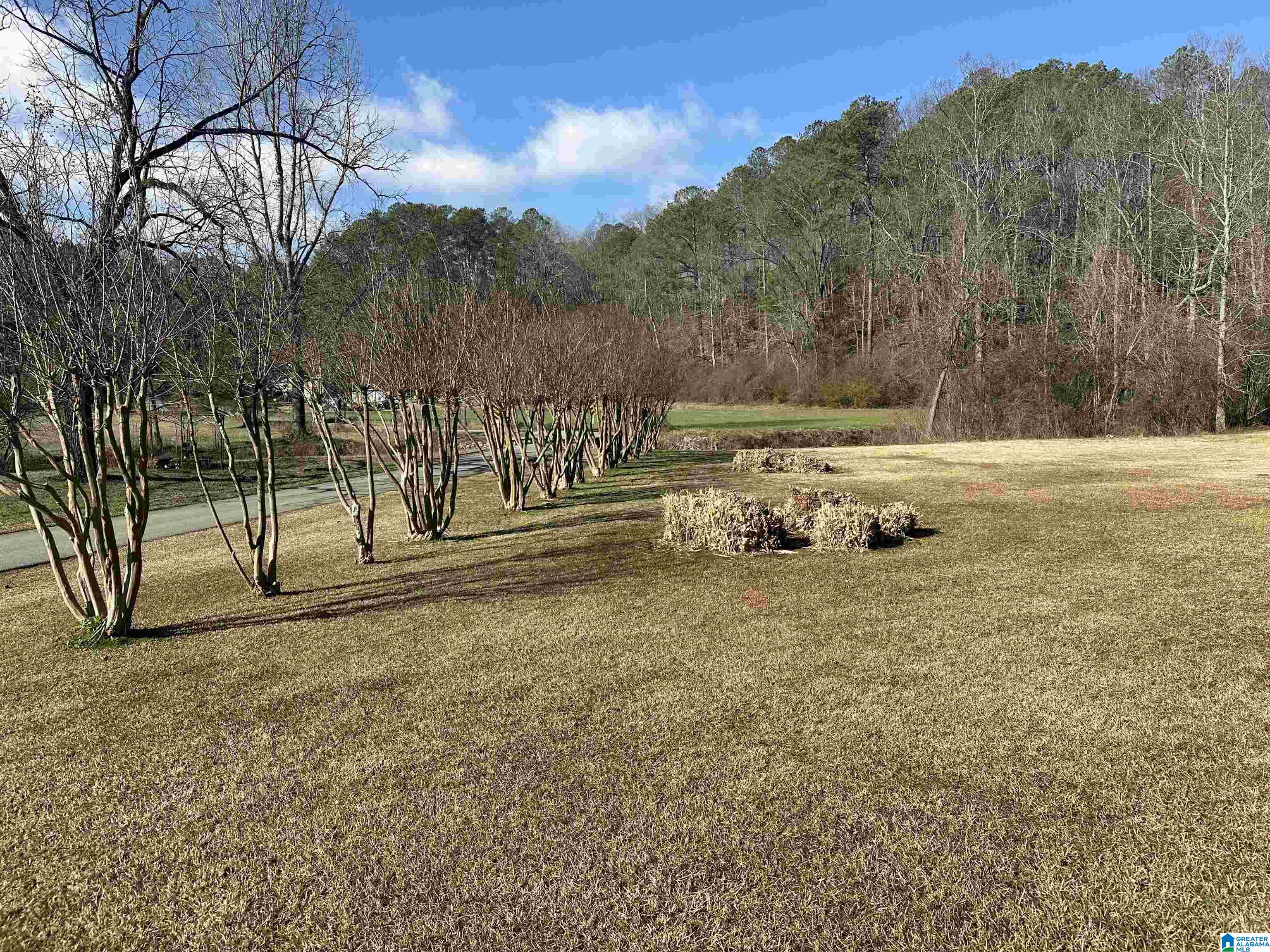 793 Jewell Road Oxford, AL 36203 - Photo 70 of 75