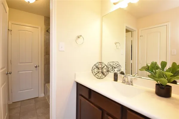 a view of bathroom with a potted plant