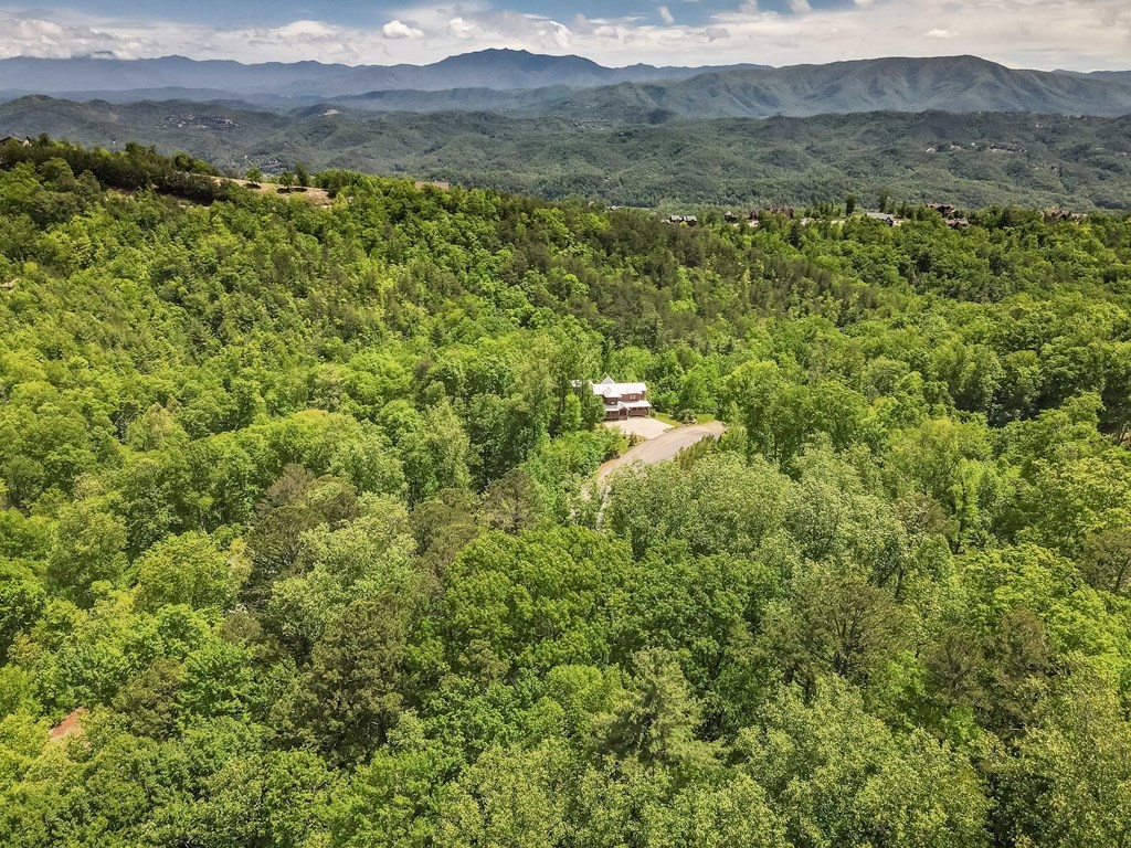 134 Summit Trails Drive Sevierville, TN 37862 - Photo 17 of 19