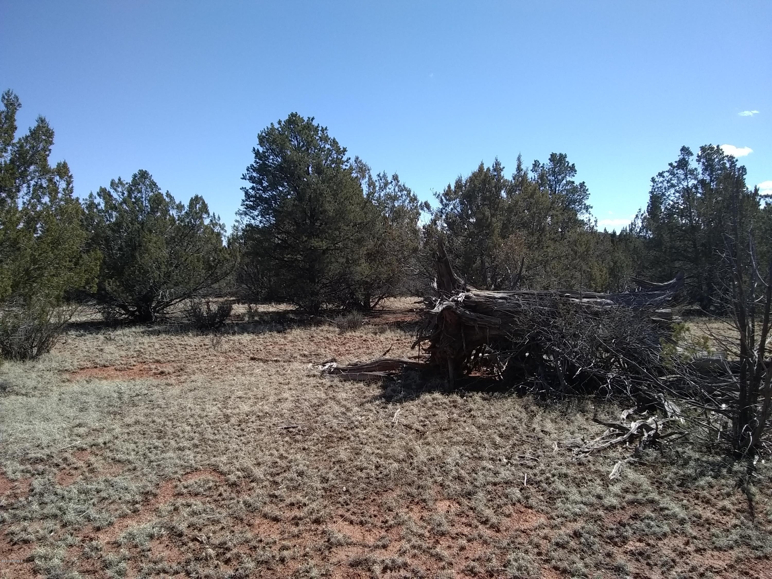 34677 West Shilo Road Seligman, AZ 86337 - Photo 42 of 46 IMG_20190316_133332080