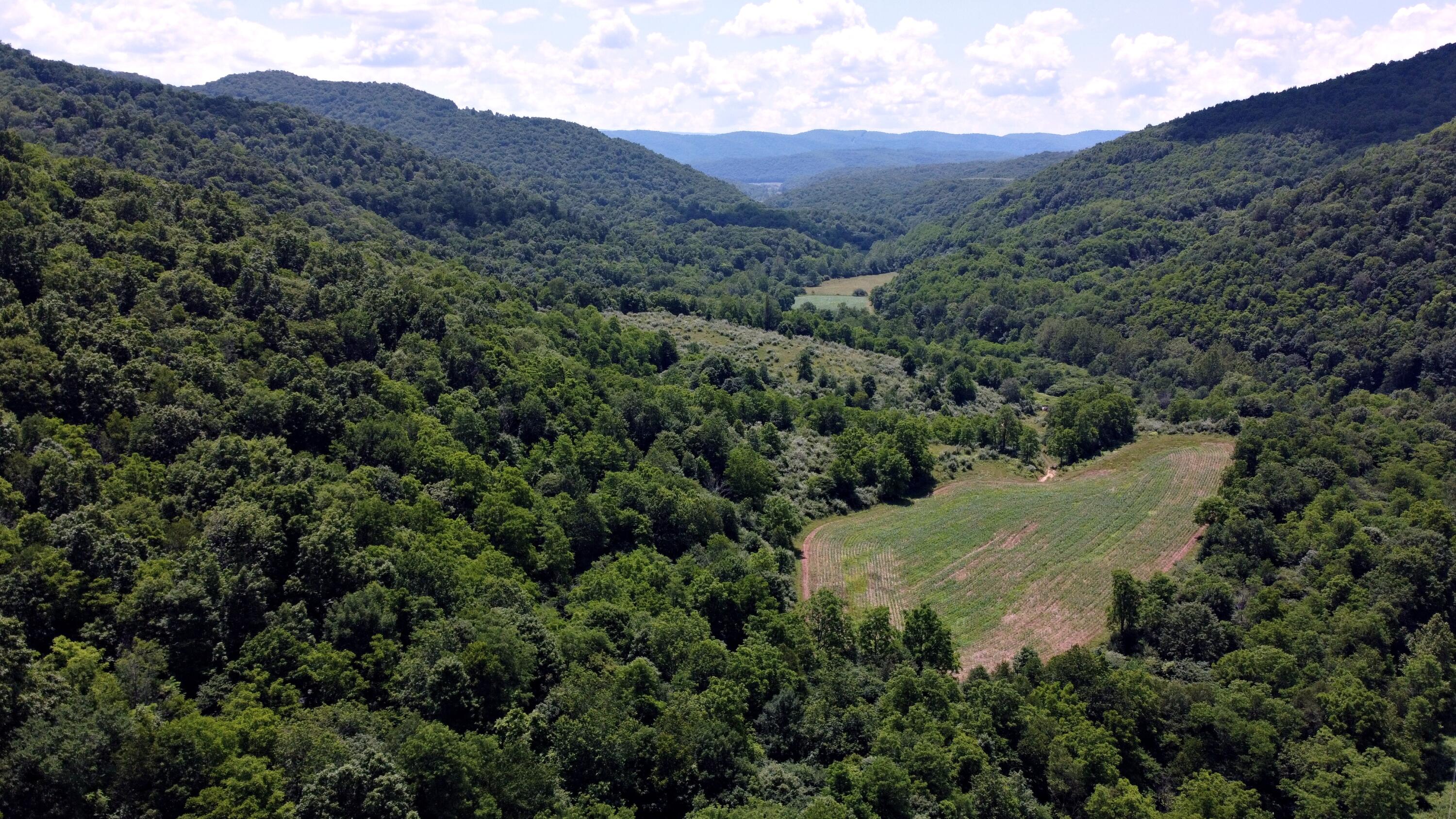 Linwood Road Cass, WV 24927 - Photo 14 of 24 aerial1