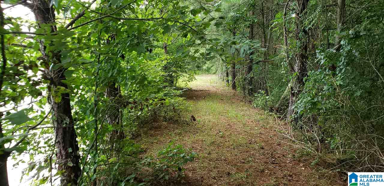 4035 Bryan Road, Unit 4 Dora, AL 35062 - Photo 12 of 17