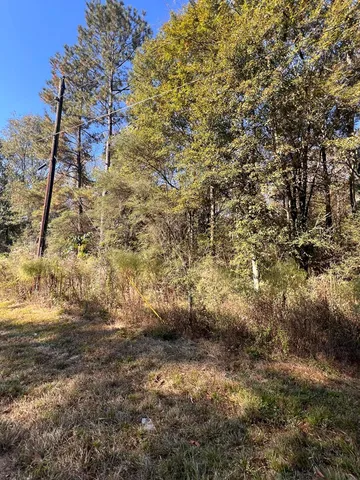 $25,000 | Tbd Z C Rushing Road, Tylertown, MS 39667