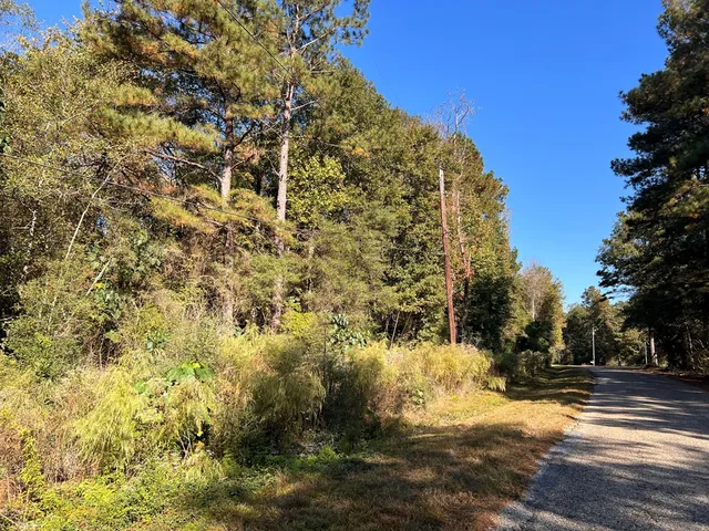 $25,000 | Tbd Z C Rushing Road, Tylertown, MS 39667
