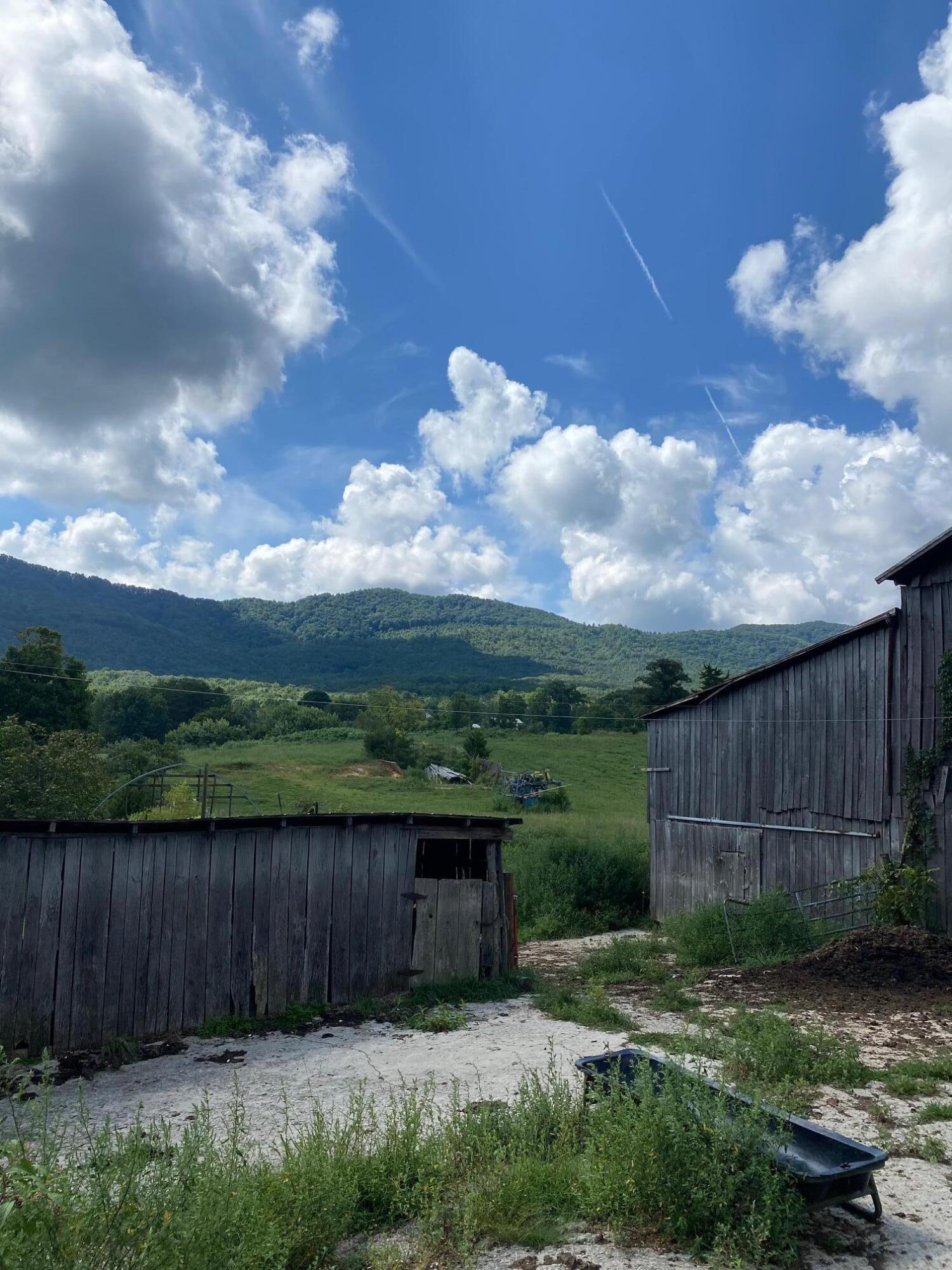 390 Tweed Springs Road Greeneville, TN 37743 - Photo 33 of 51 Renner Barns View
