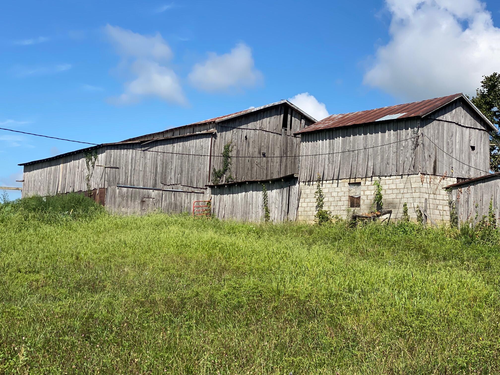 390 Tweed Springs Road Greeneville, TN 37743 - Photo 34 of 51 Renner Barns