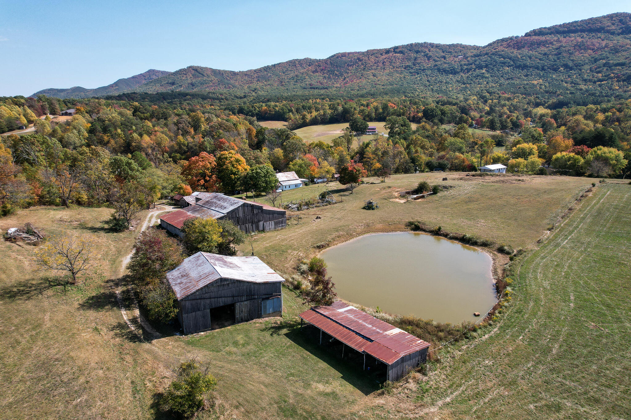 390 Tweed Springs Road Greeneville, TN 37743 - Photo 38 of 51 Tweed Springs barns and pond looking sou