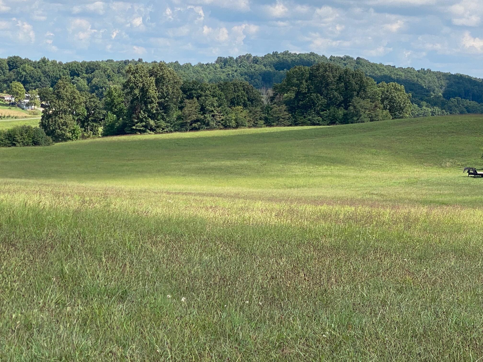 390 Tweed Springs Road Greeneville, TN 37743 - Photo 39 of 51 Renner View 1
