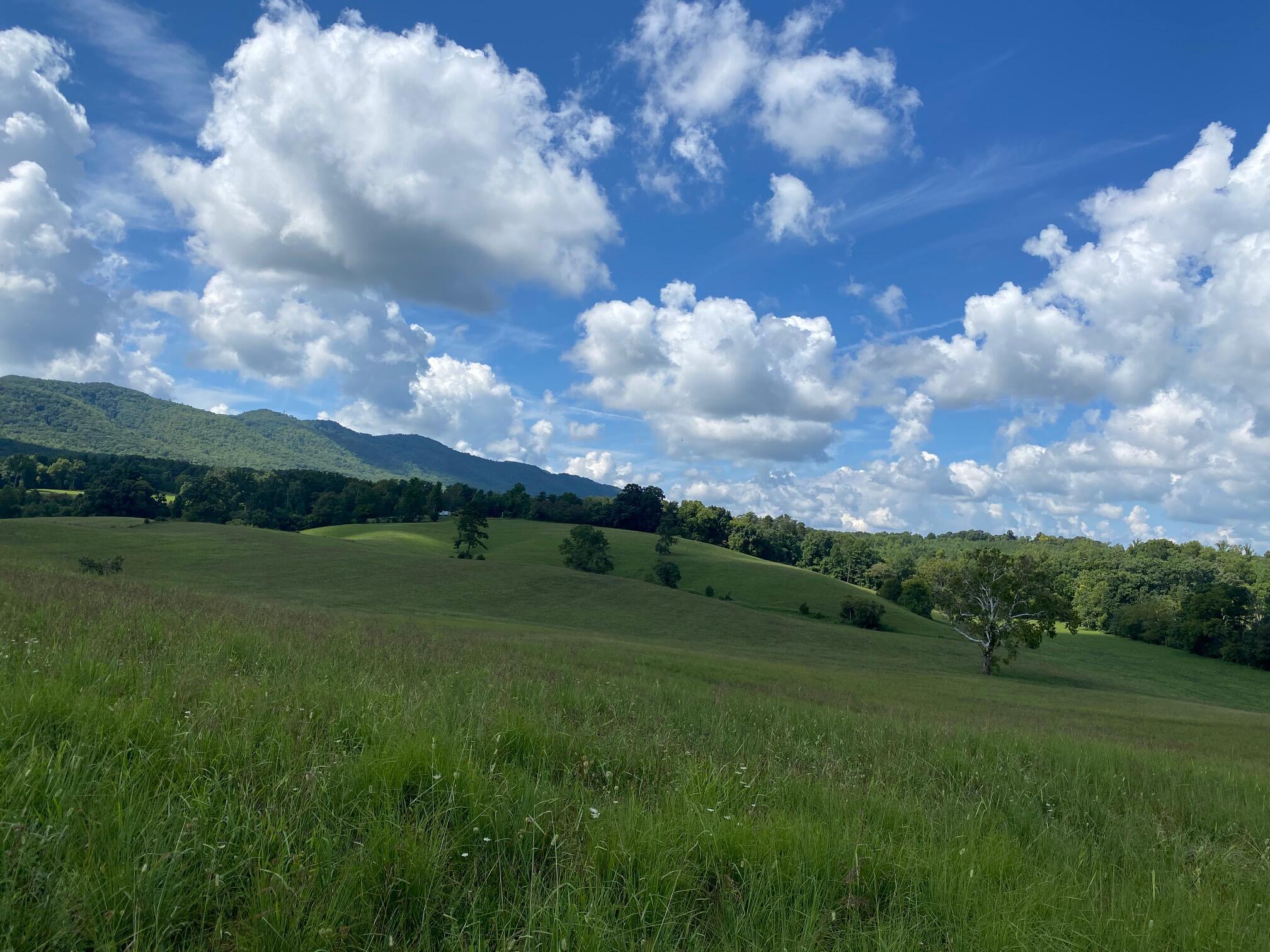 390 Tweed Springs Road Greeneville, TN 37743 - Photo 42 of 51 Renner View 4