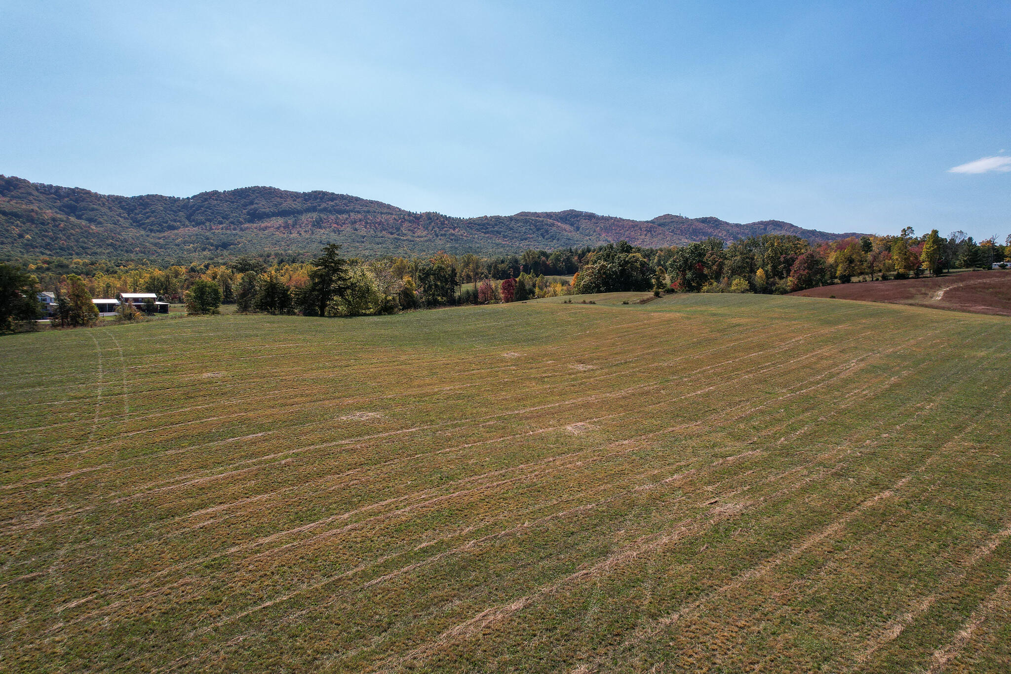 390 Tweed Springs Road Greeneville, TN 37743 - Photo 44 of 51 Tweed Springs hay fields looking south