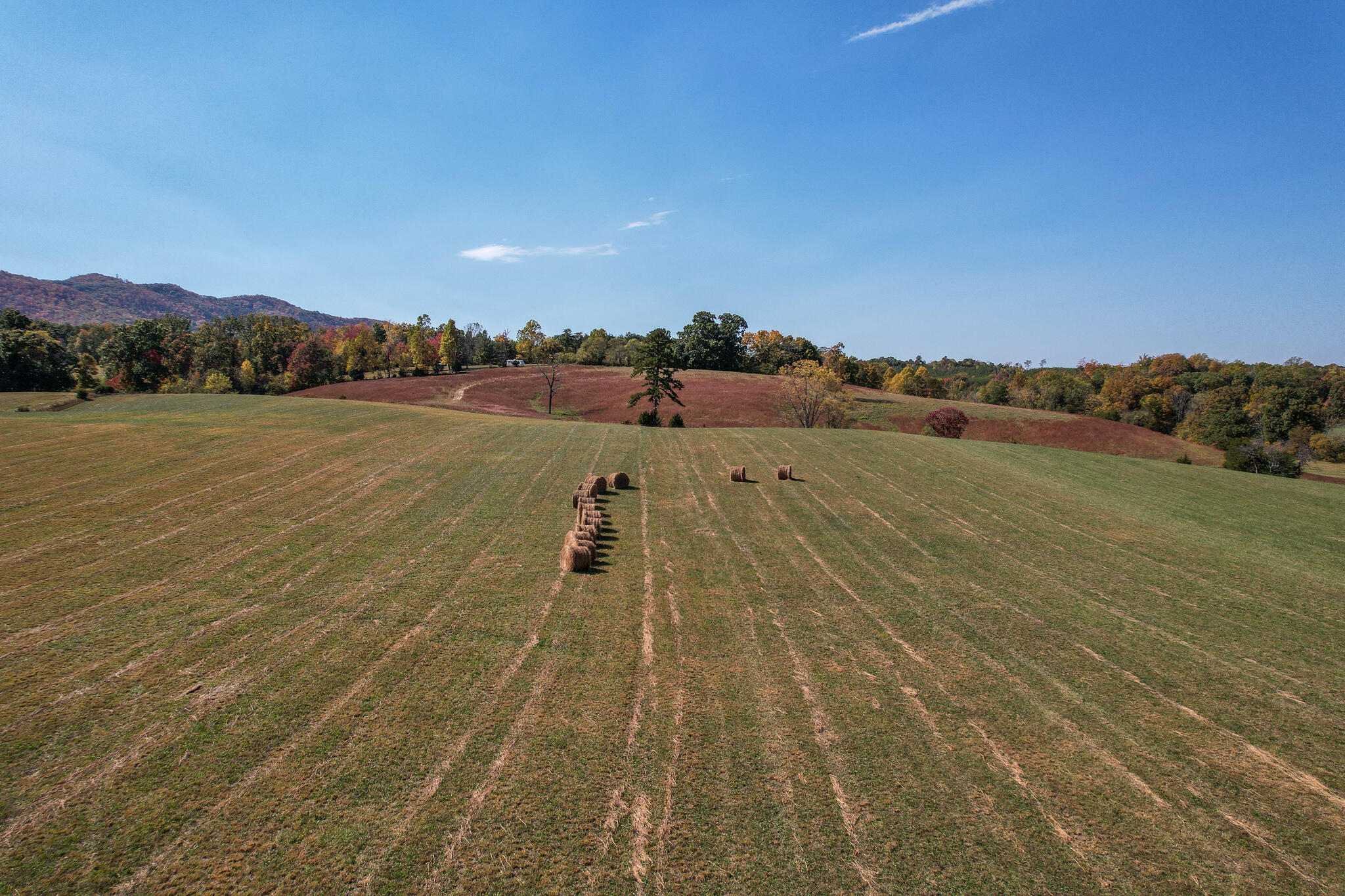 390 Tweed Springs Road Greeneville, TN 37743 - Photo 45 of 51 Tweed Springs hay fields looking south