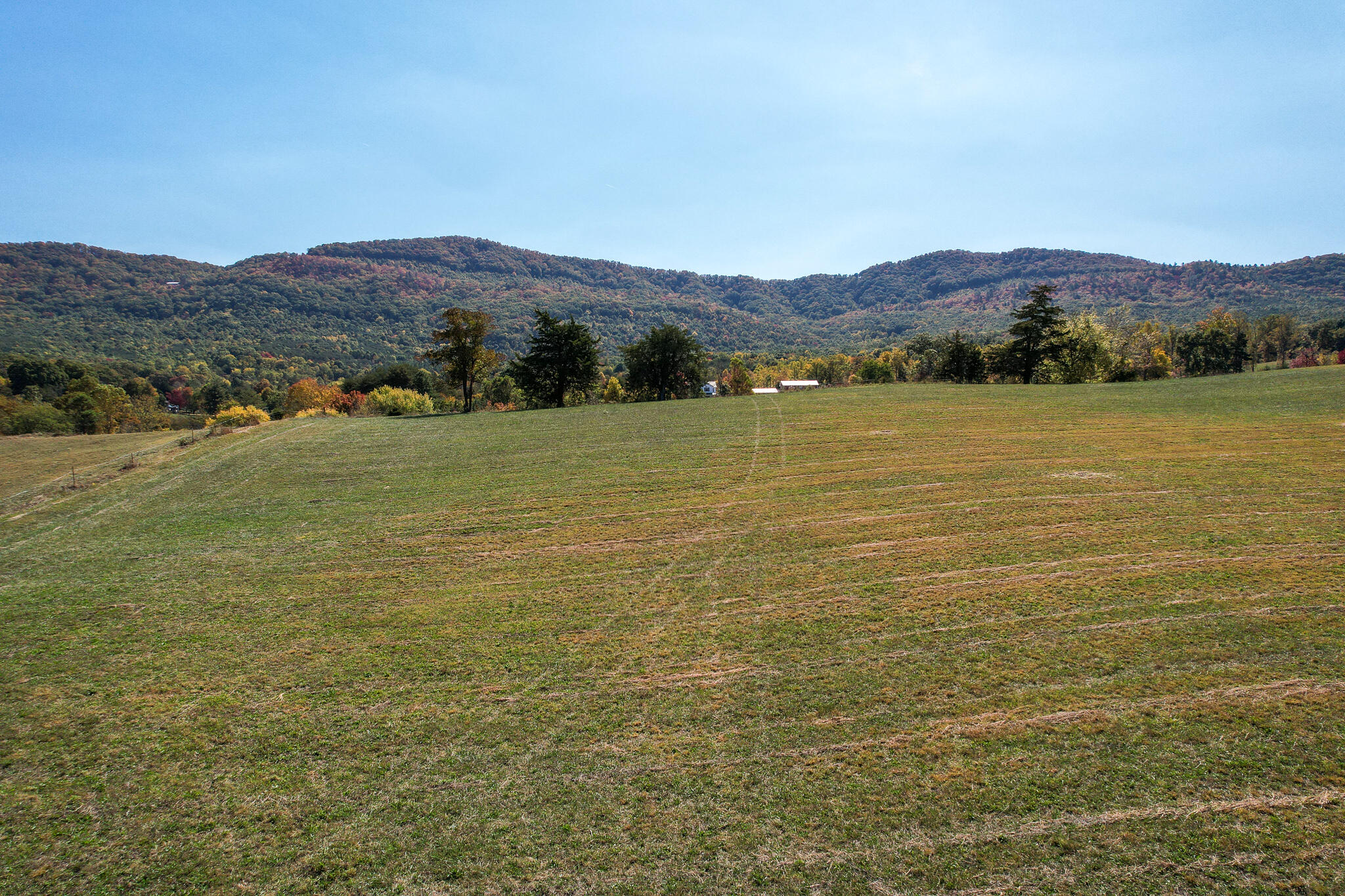 390 Tweed Springs Road Greeneville, TN 37743 - Photo 46 of 51 Tweed Springs hay fields looking south