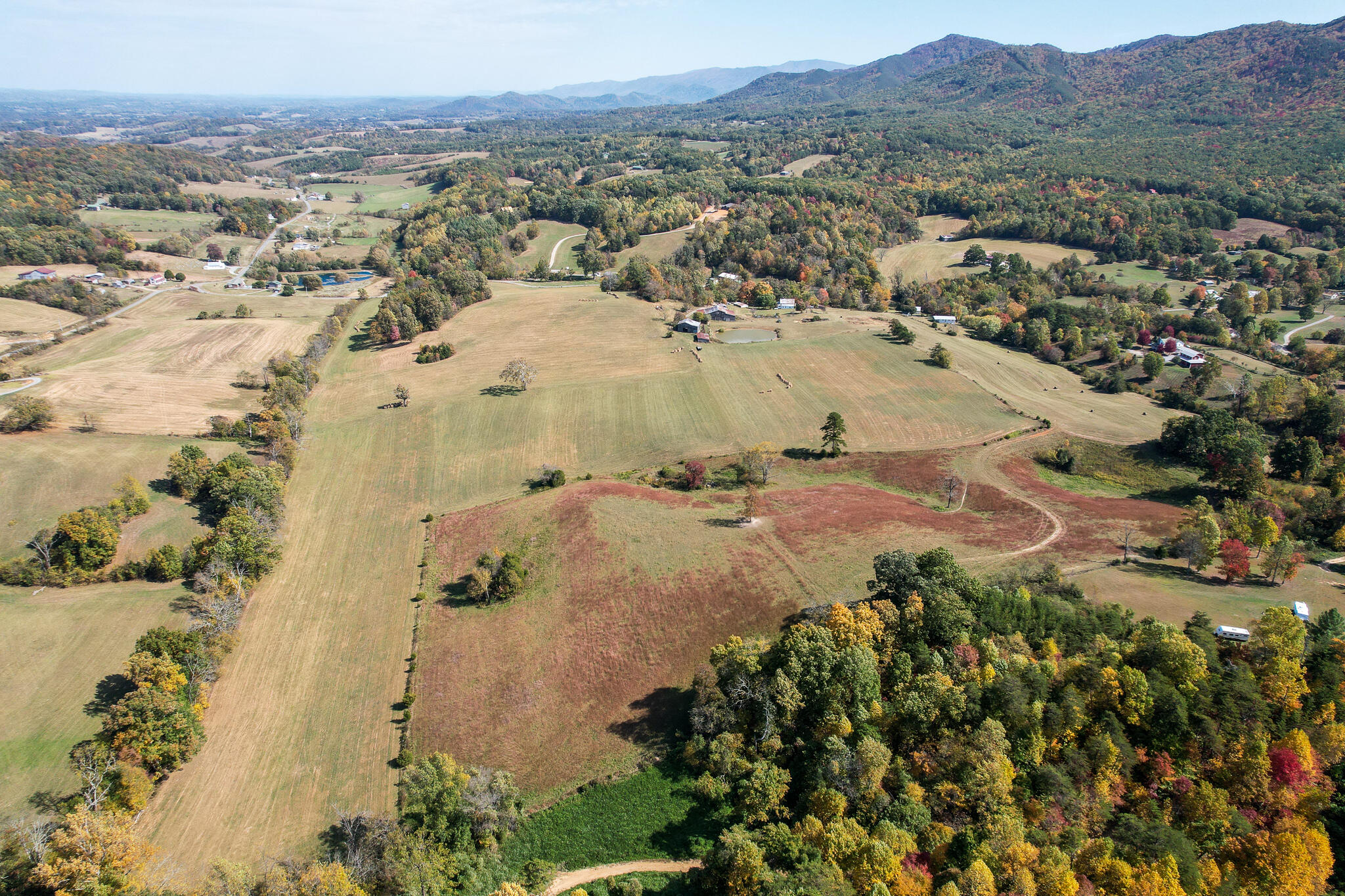 390 Tweed Springs Road Greeneville, TN 37743 - Photo 47 of 51 Tweed Springs looking east