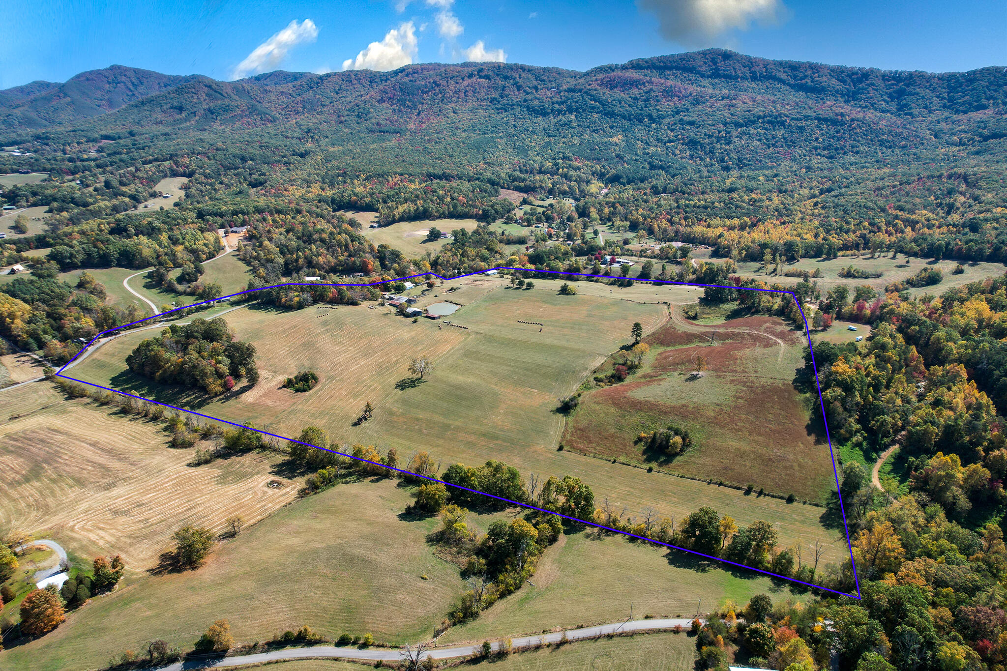 390 Tweed Springs Road Greeneville, TN 37743 - Photo 49 of 51 Tweed Springs boundry 2