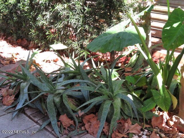 15861 Sawpit Road Jacksonville, FL 32226 - Photo 25 of 55 IMG_2045