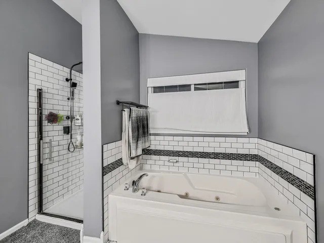 a bathroom with a bath tub and a shower