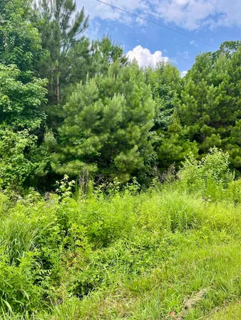 $60,000 | 0 Little River Drive, Elizabeth City, NC 27909