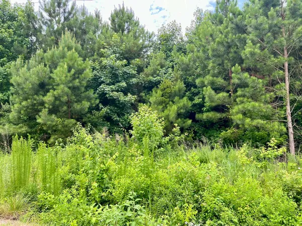 $60,000 | 0 Little River Drive, Elizabeth City, NC 27909